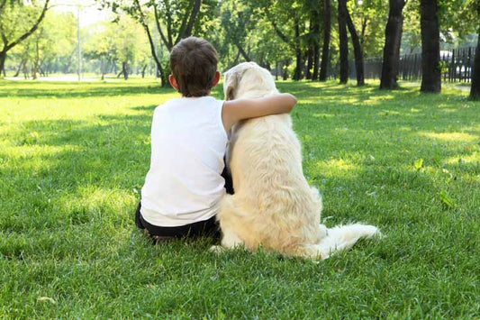 Bonding with Your Pet: Simple Ways to Strengthen Your Connection