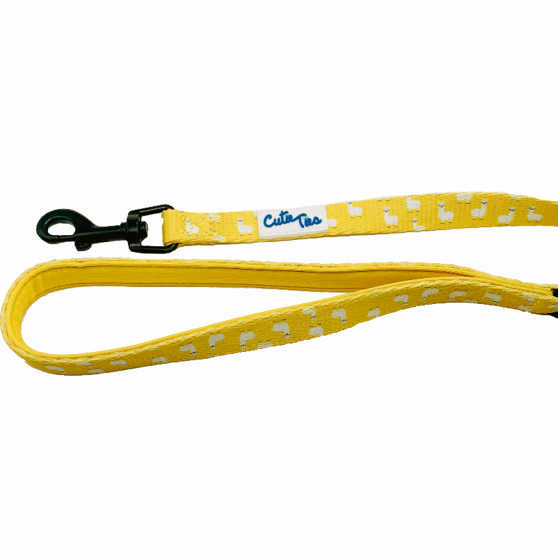 Cutie Ties Fun Design Dog Leash