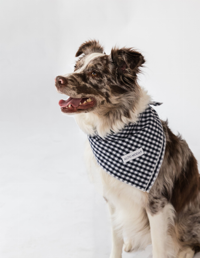 Buddy Dog Bandana