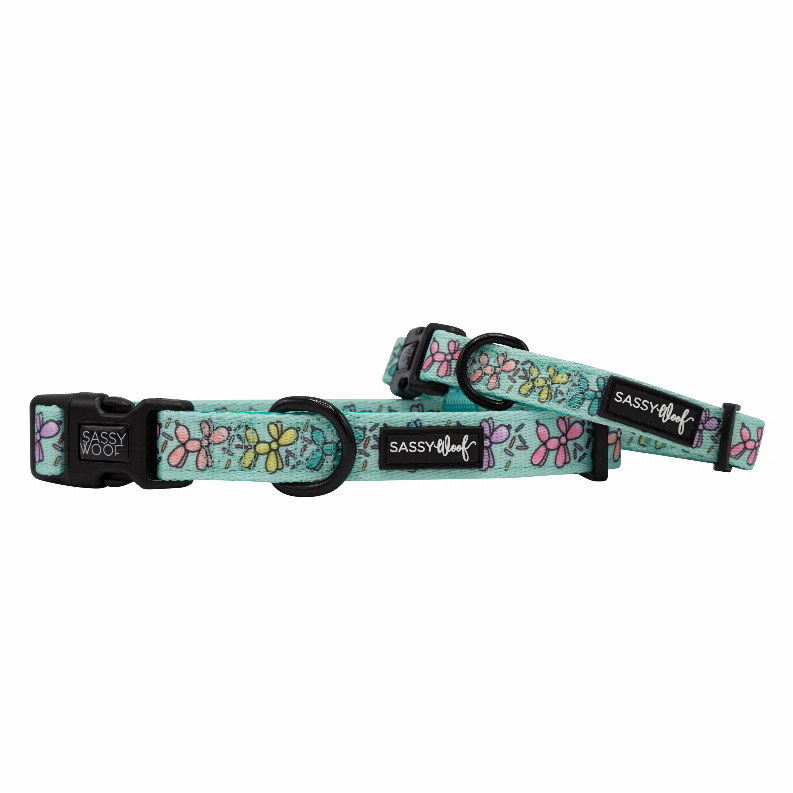 Sassy Woof Dog Collars