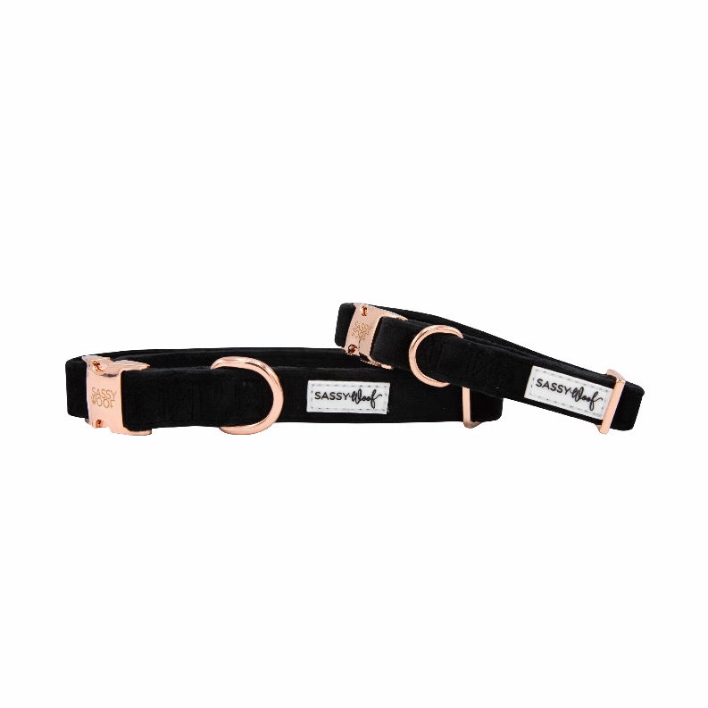 Sassy Woof Dog Collars