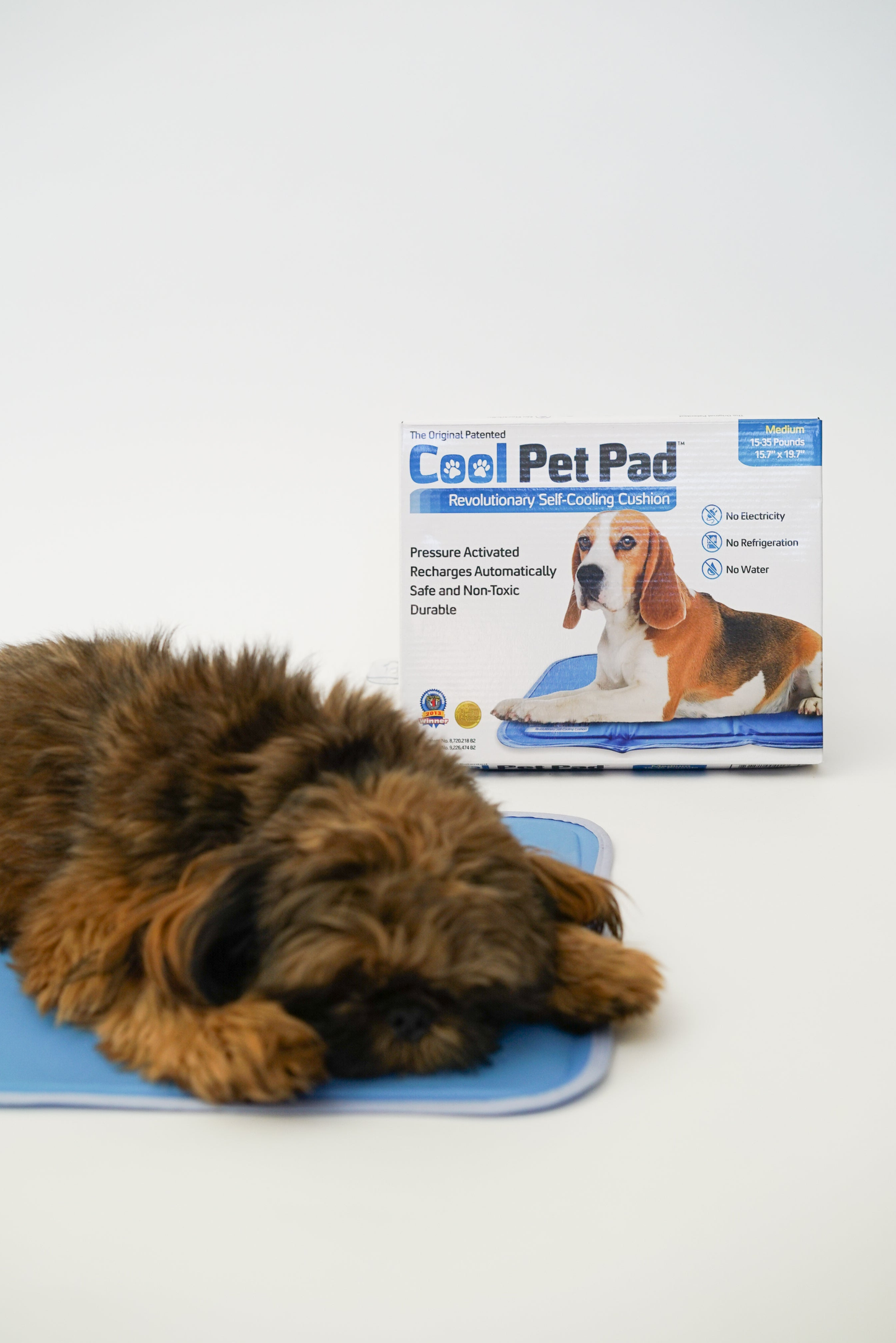 Cool Pet Pad