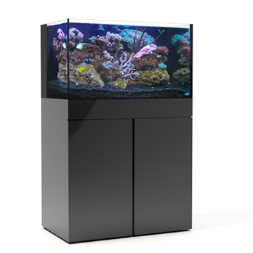 JBJ 65G AIO Starter Kit - Aquarium & Black Stand