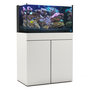 JBJ 65G AIO Starter Kit - Aquarium & White Stand