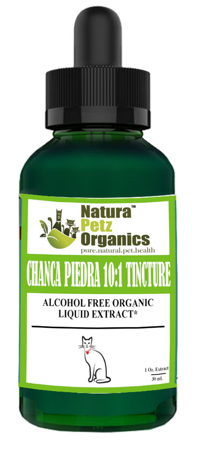 Chanca Piedra 10:1 Organic  Alcohol Free