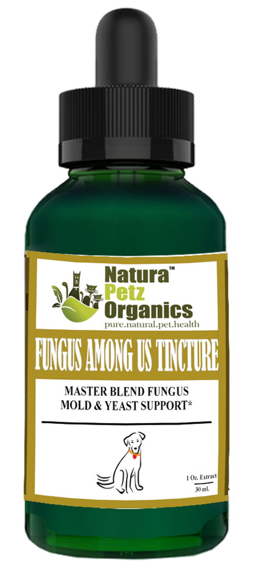 Fungus Among Us Tincture* - Master Blend Fungus,  Mold & Yeast Support* For Dogs And Cats