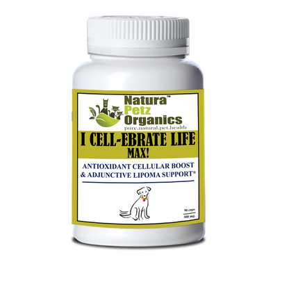 I Cellebrate Life Max - Antioxidant Cellular Boost + Adjunctive Lipoma Support*