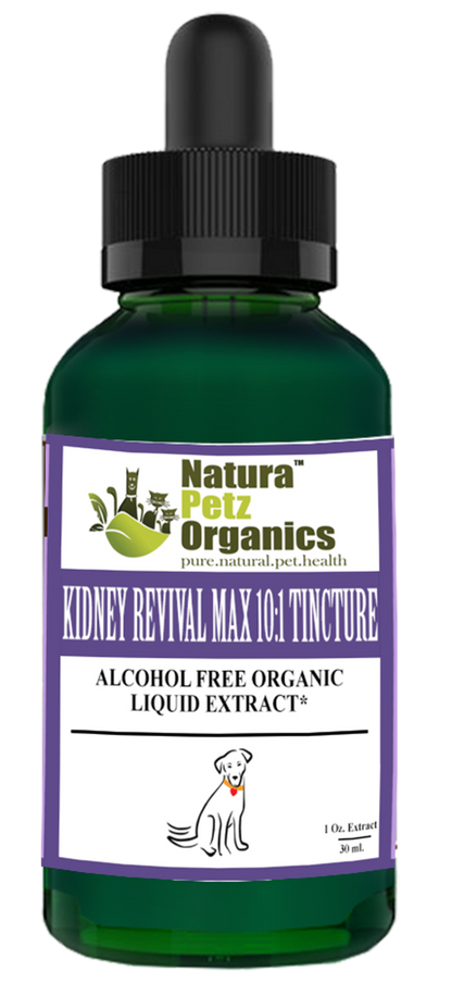 Kidney Revival Max - Master Blend Kidney Cleanse & Support* Tincture Adult & Senior Dogs