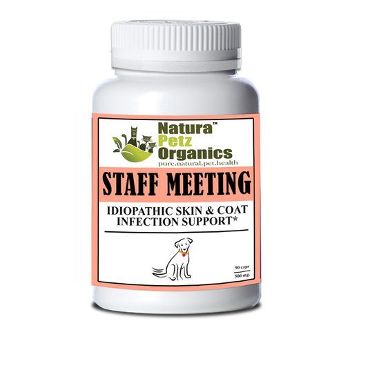 Staff Meeting* Idiopathic Skin & Coat Infection* Support For Dogs And Cats*