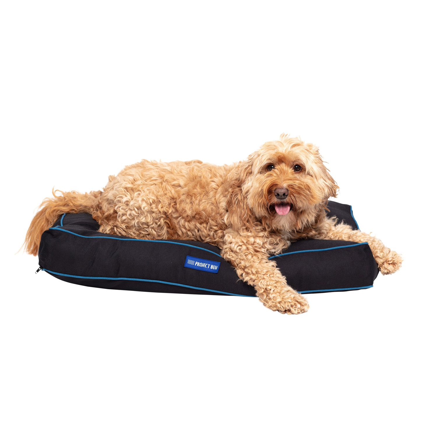 Daytona Eco-Fabric Mattress Dog Bed