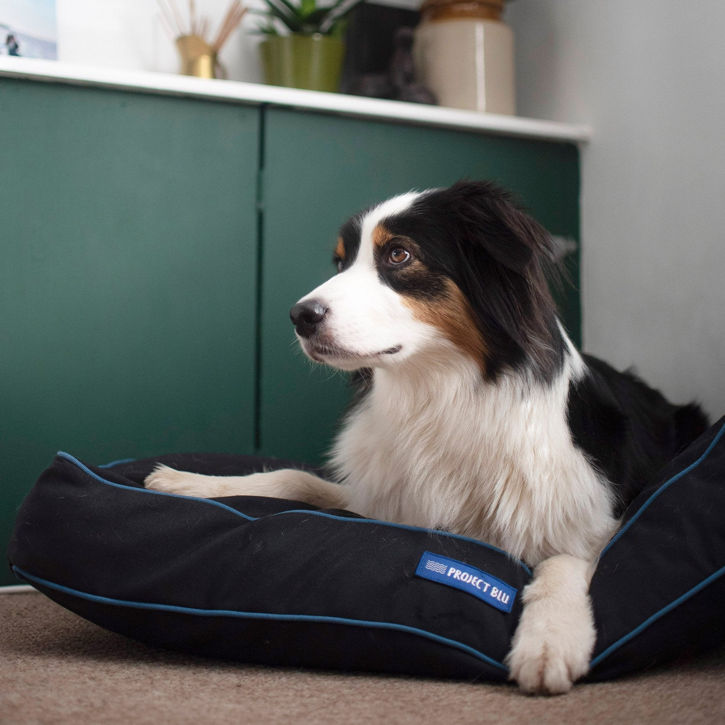 Daytona Eco-Fabric Mattress Dog Bed