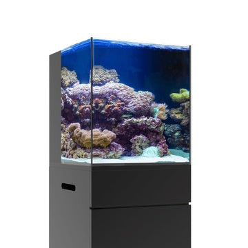 JBJ Nano Rimless Aquarium Package - 20 Gallon AIO + Aquarium Stand