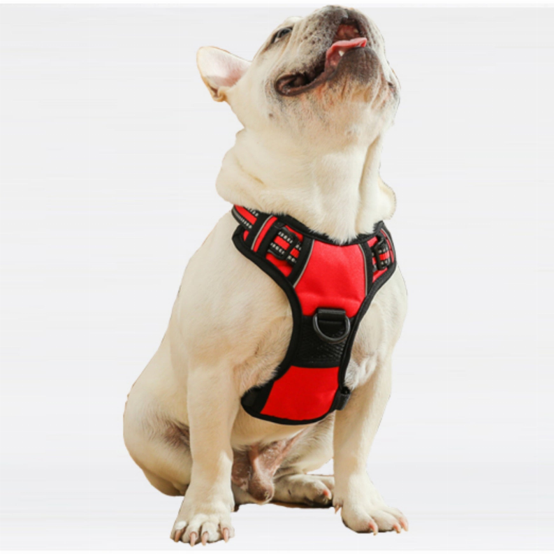 Mr. Peanut's PetTrek Reflective Pet Harness With Matching Leash