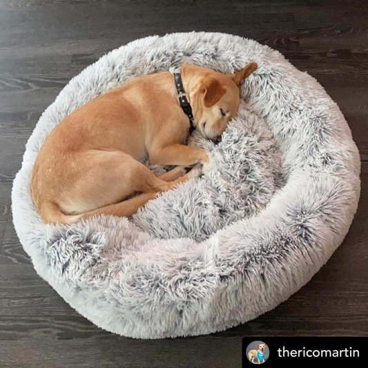 Mr. Peanut's OrthoPlush Pet Bed