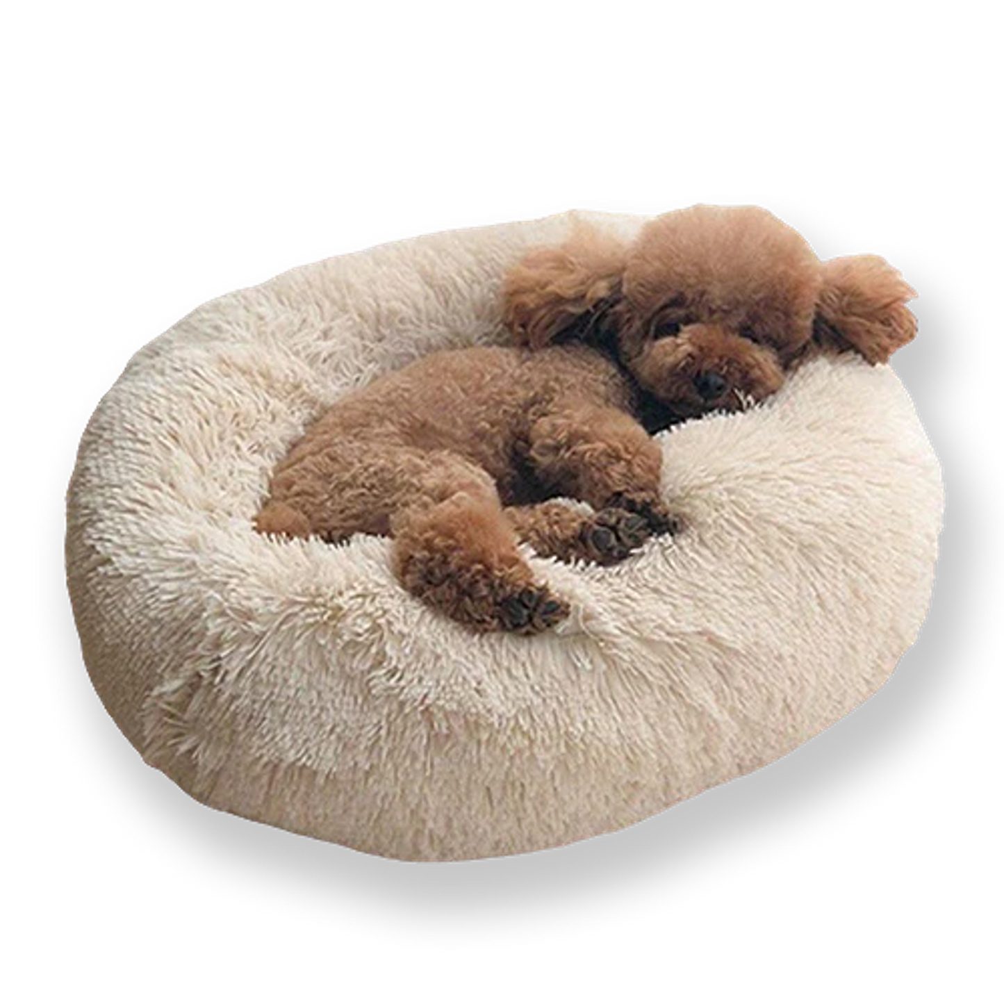 Donut Dog Bed