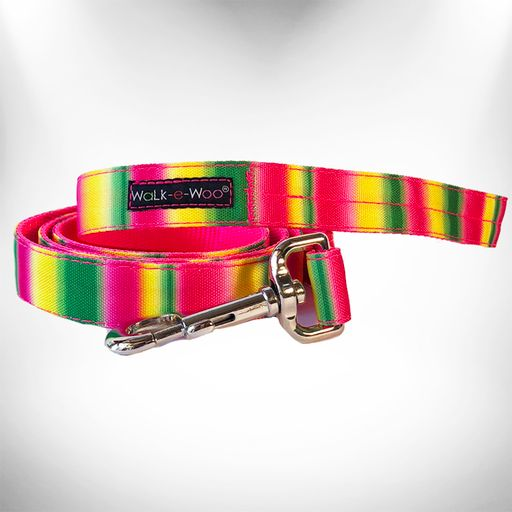 Tie Dye Dog Leads