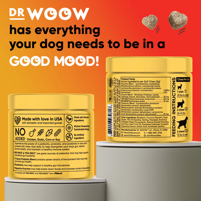 Dr Woow Digestion Soft Chews