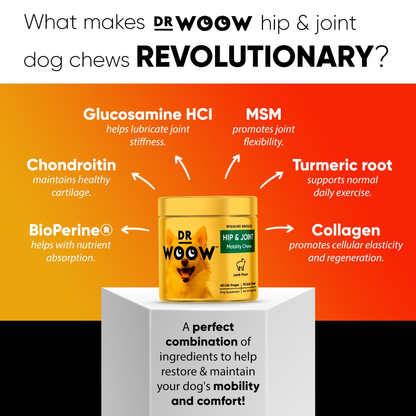 Dr Woow Hip and Joint Support Soft Chews