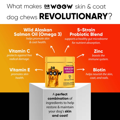 Dr Woow Skin and Coat Soft Chews