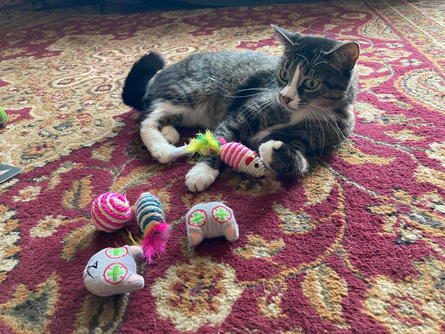 Smokey's Stash Catnip Toys and Sisal Mouse