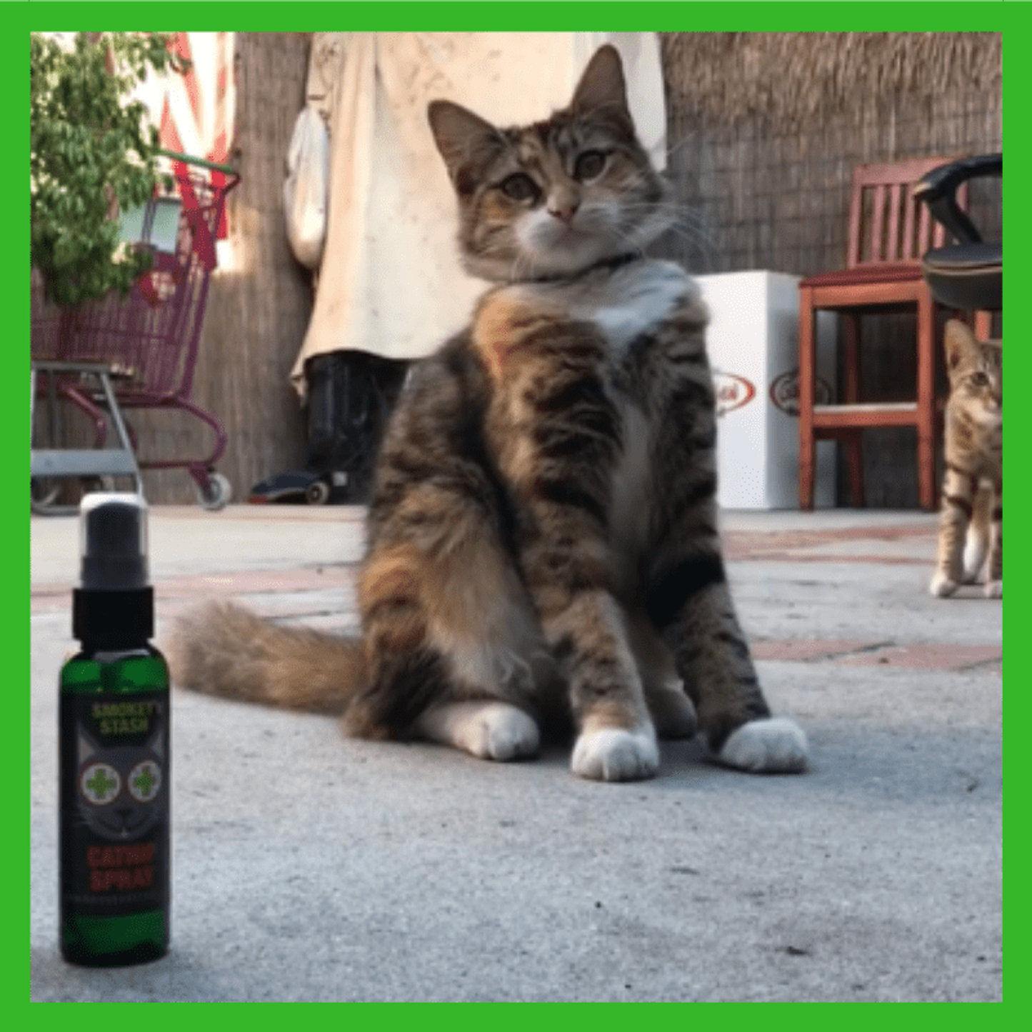 Smokey's Stash Catnip Spray Bottle