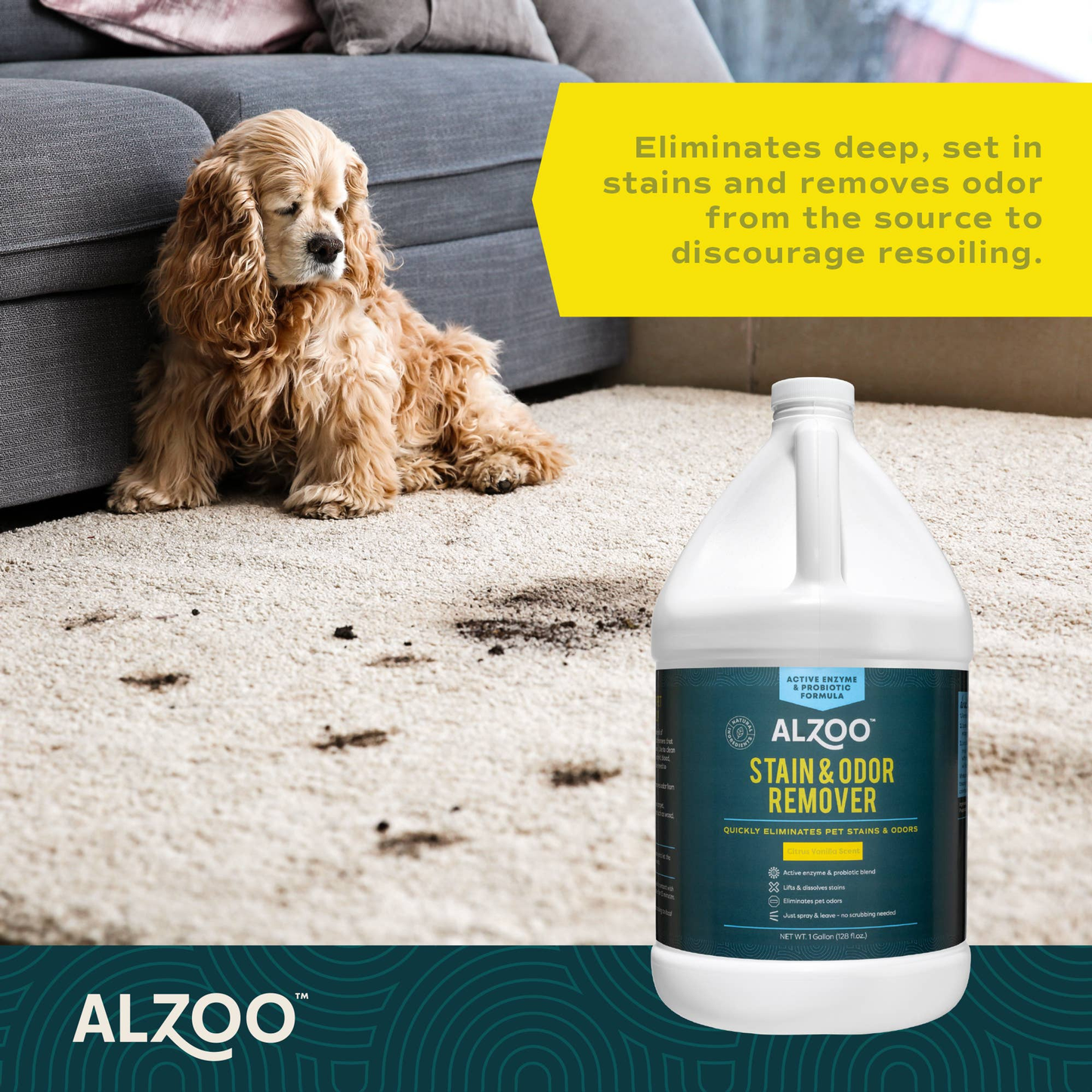 ALZOO Enzyme Stain & Odor Remover Citrus Vanilla, 16oz