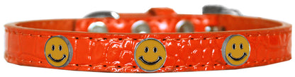 Dog, Puppy & Pet Designer Croc Widget Collar, "Happy Face"