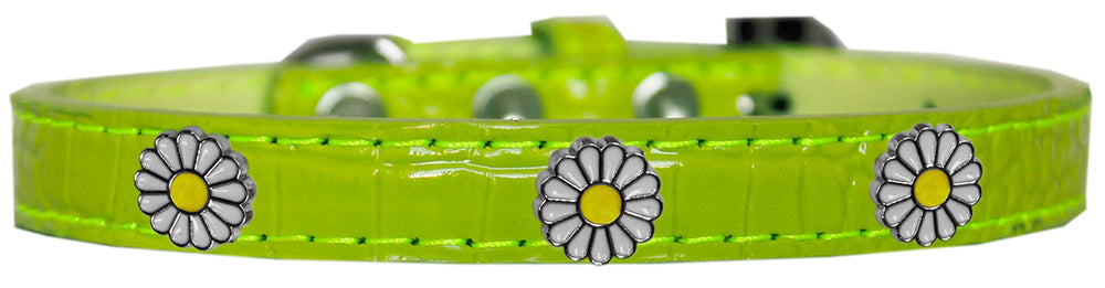 Dog, Puppy & Pet Designer Croc Widget Collar, "White Daisies"