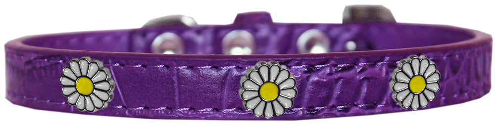 Dog, Puppy & Pet Designer Croc Widget Collar, "White Daisies"