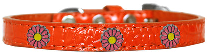 Dog, Puppy & Pet Designer Croc Widget Collar, "Pink Daisies"