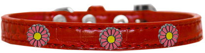 Dog, Puppy & Pet Designer Croc Widget Collar, "Pink Daisies"