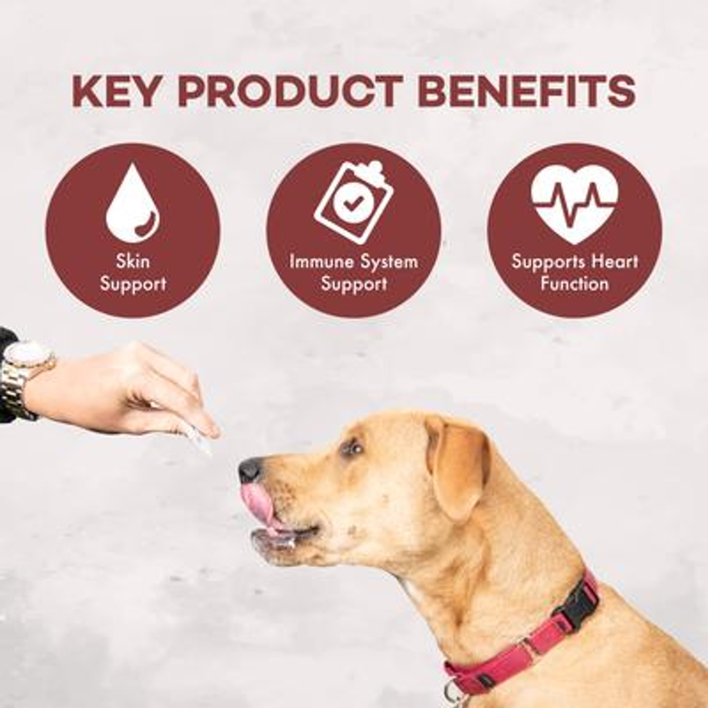 Coromega Pup Packets Omega-3 Skin & Immune Support