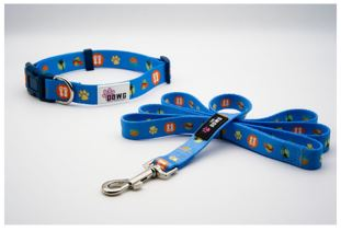 Dog Collar And Leash Set