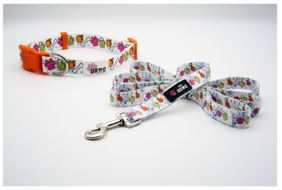 Dog Collar And Leash Set