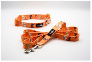 Dog Collar And Leash Set