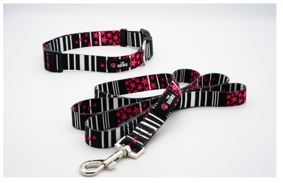 Dog Collar And Leash Set