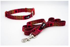 Dog Collar And Leash Set