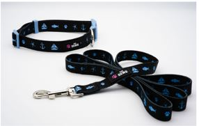 Dog Collar And Leash Set