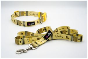 Dog Collar And Leash Set