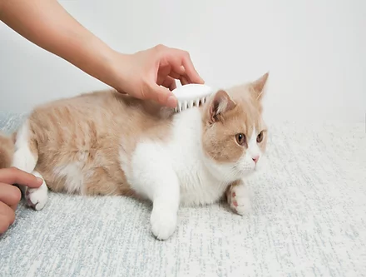 PETKIT Paw Cleaner and Massager