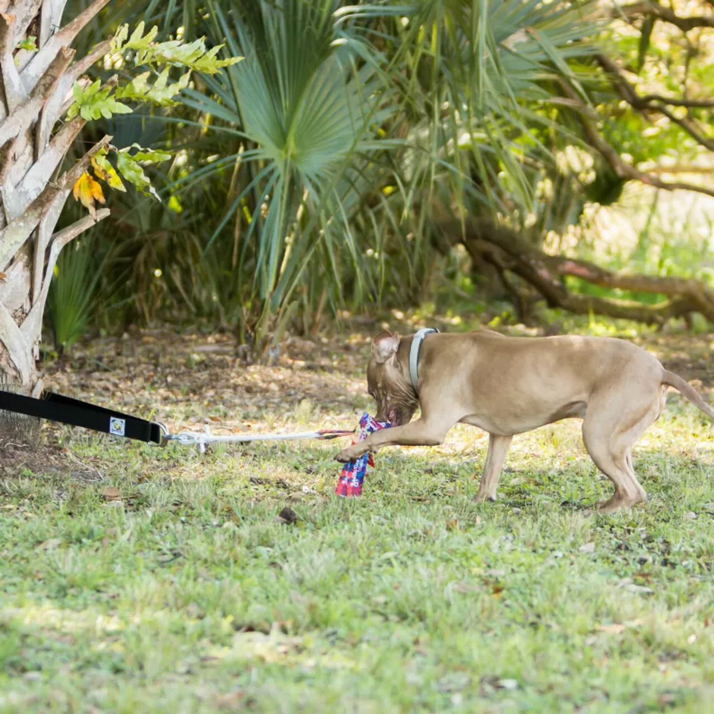 Super Tug Dog Toy