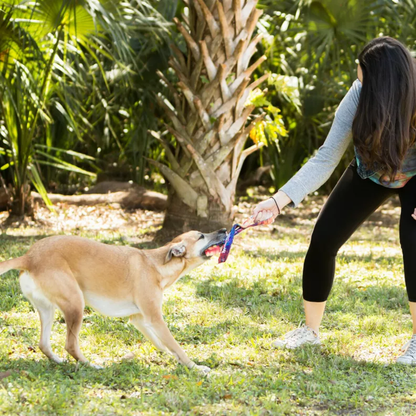 Tug Dog Toy