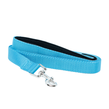 Durable Nylon Dog Leash with Padded Ergonomic Handle for Comfort, Ideal for All Dog Sizes – 5 ft.