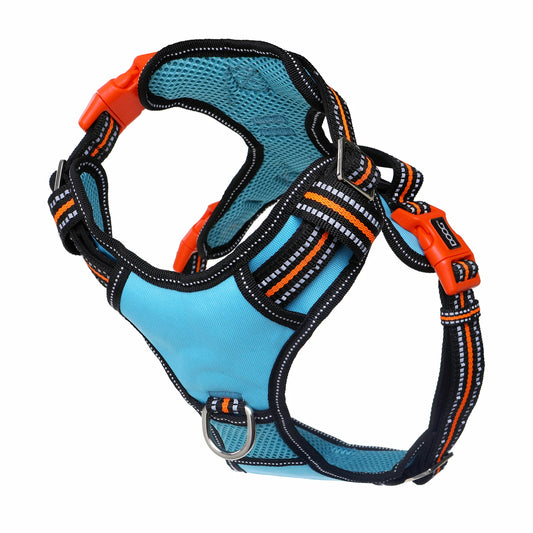 DOOG Neotech Dog Harness Beethoven Small Blue/Orange/Black