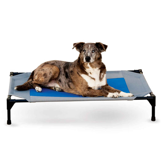 K&H Pet Products Coolin' Pet Cot Large Gray / Blue 30" x 42" x 7"