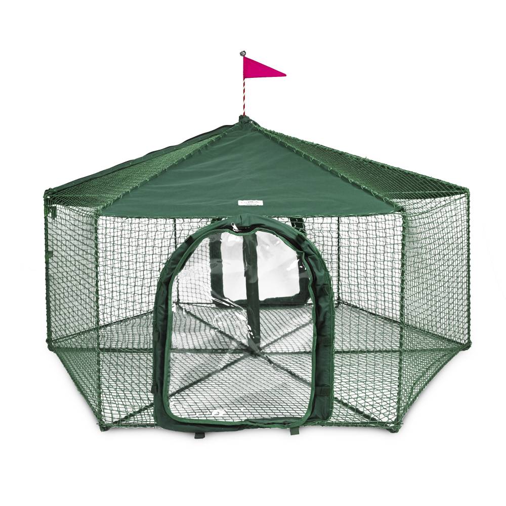 Kittywalk Gazebo Yard and Garden Outdoor Cat Enclosure Green 70" x 70" 38"