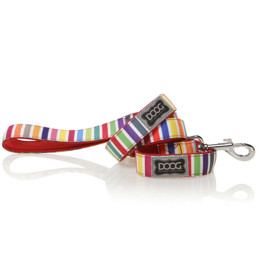 DOOG Neoprene Dog Leash Scooby Small Rainbow