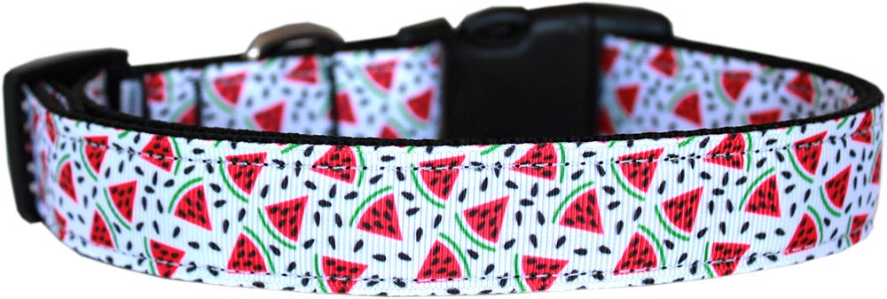 Pet Dog & Cat Nylon Collar or Leash, "Watermelon"