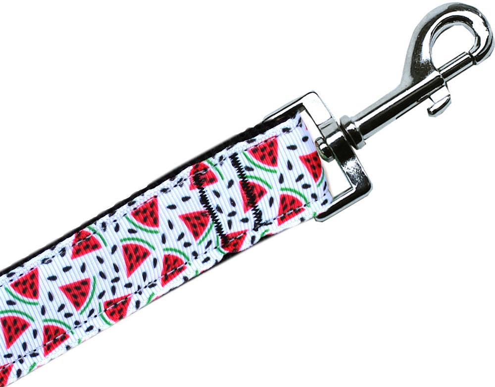 Pet Dog & Cat Nylon Collar or Leash, "Watermelon"