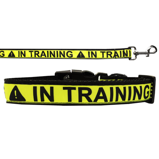 Pet Dog & Cat Nylon Collar or Leash, "In Training"